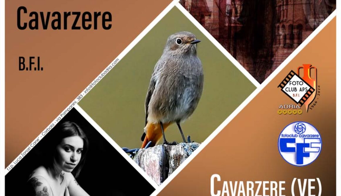 2023-02-03 Adria a Cavarzere