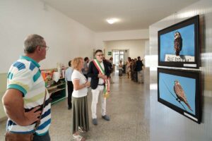 Mostra San Bortolo